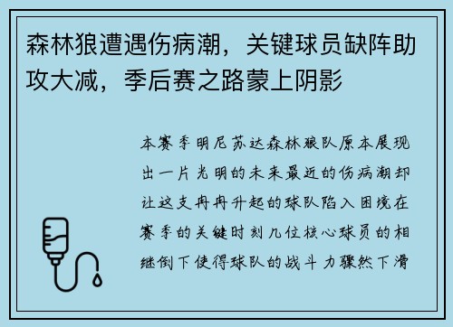 森林狼遭遇伤病潮，关键球员缺阵助攻大减，季后赛之路蒙上阴影